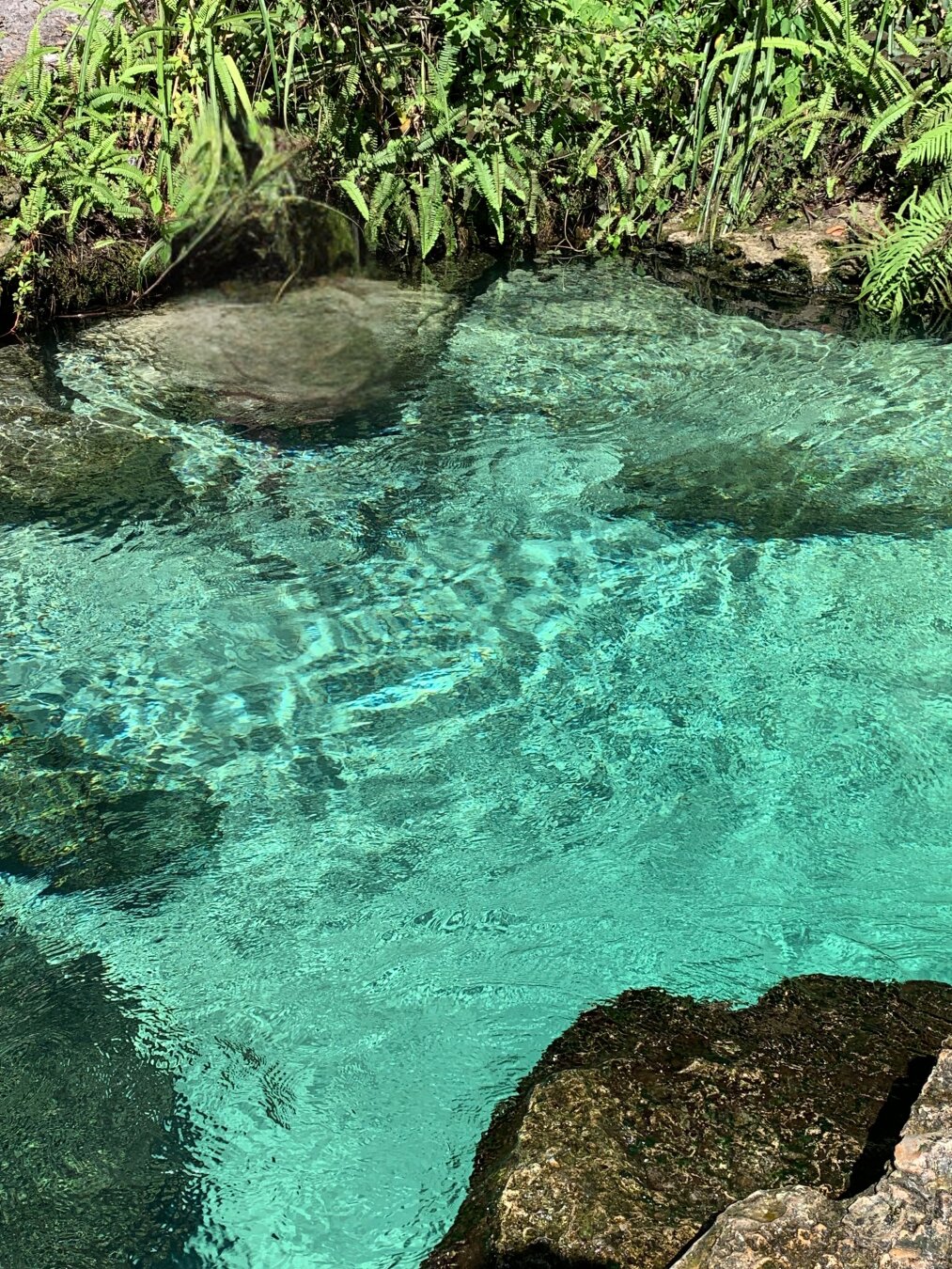 A crystal clear, turquoise body of water surrounded by lush greenery and rocks. The water's surface shows gentle ripples, reflecting light.
