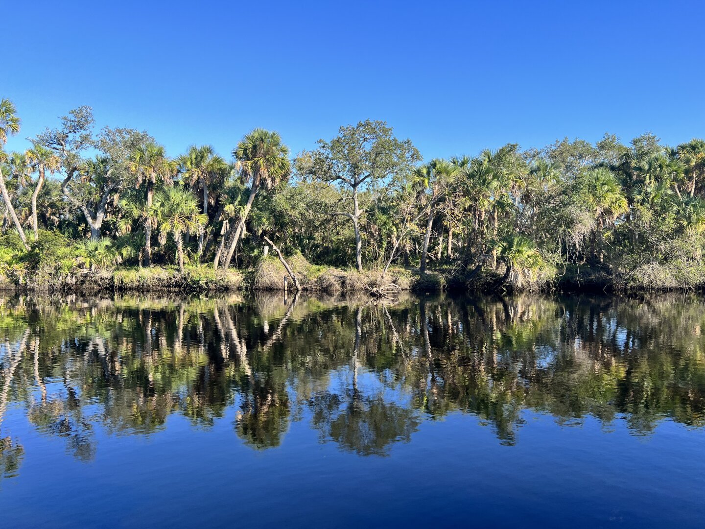 A serene landscape featuring a calm body of water surrounded by lush greenery and palm trees. The blue sky is clear, and the water reflects the trees and foliage, creating a tranquil outdoor scene. The photo is taken in such a way that the top half of the photo (trees & sky) is reflected symmetrically in the bottom half (the river).