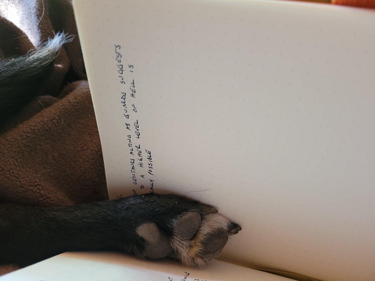 A black dog paw lies in an open notebook, obscuring some truly insightful notes about Canto 12 of Dante's Inferno.