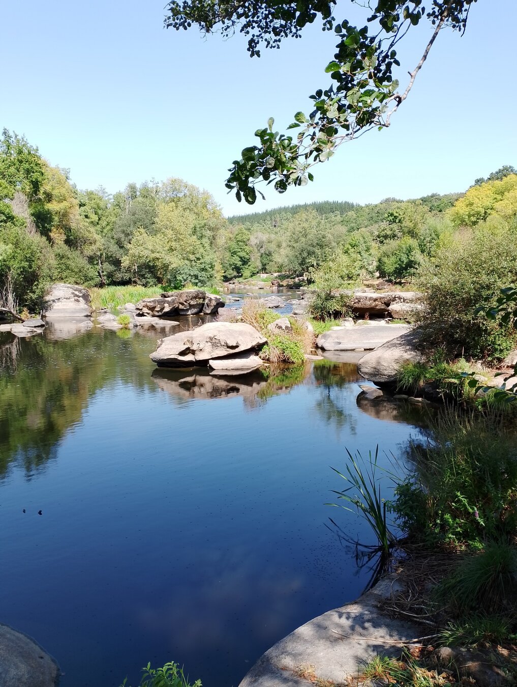 Zona fluvial de Lugo. Variedad de árboles y rio.