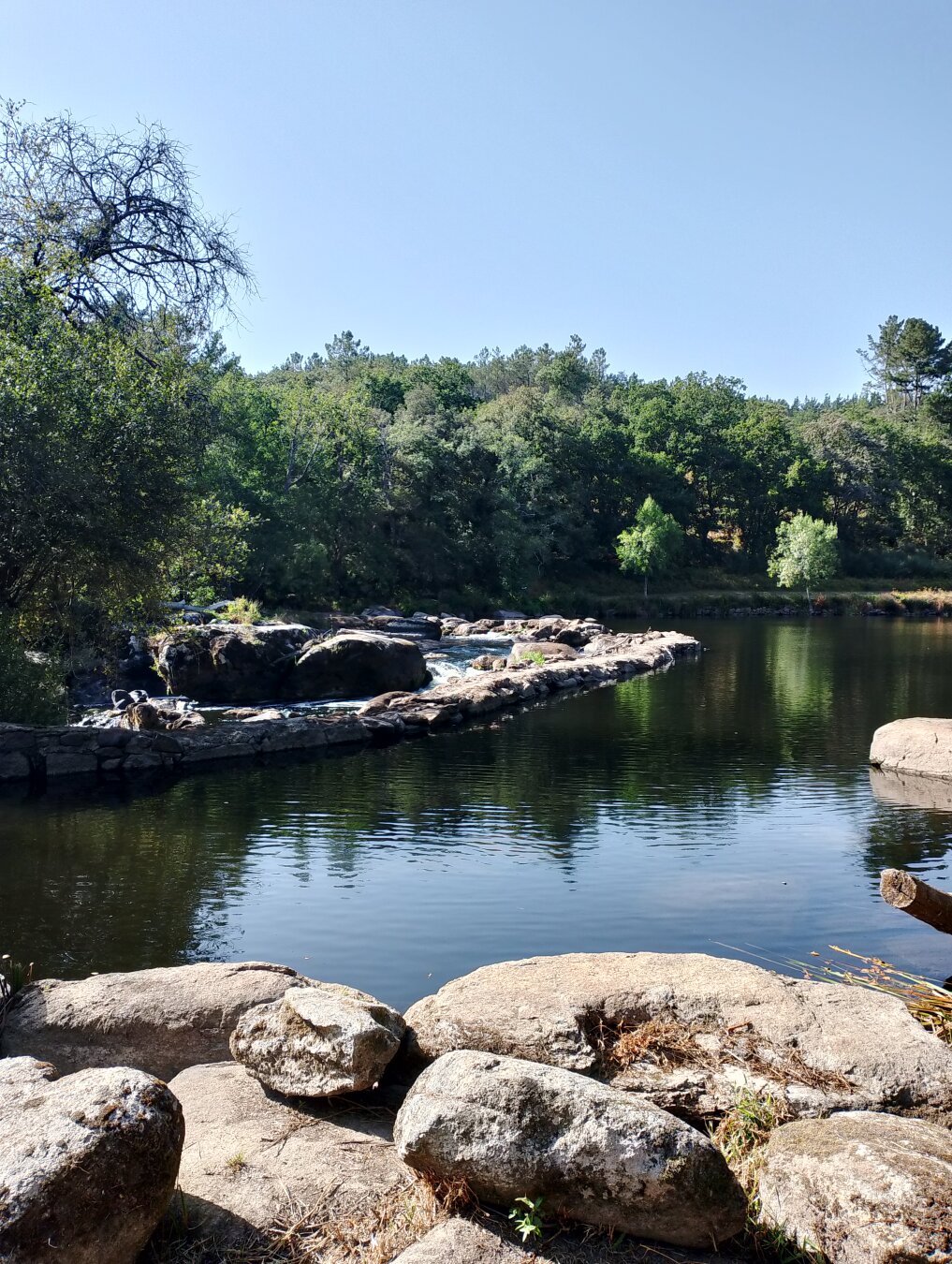 Zona fluvial de Lugo. Variedad de árboles y rio.