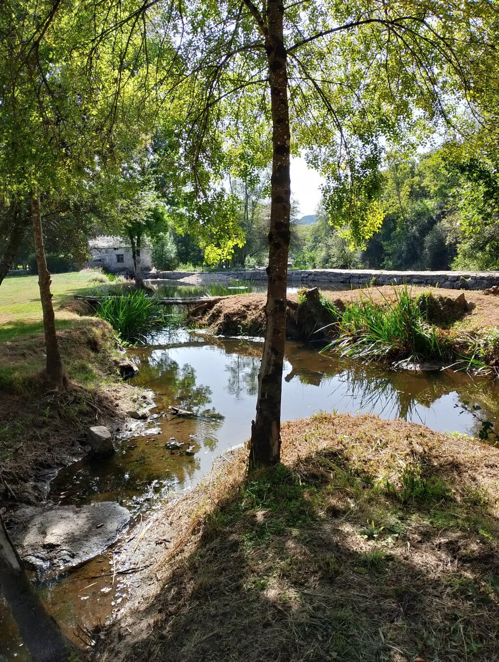 Zona fluvial de Lugo. Variedad de árboles y rio.