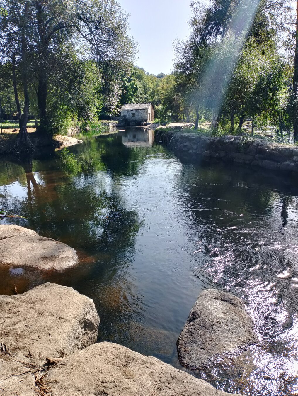 Zona fluvial de Lugo. Variedad de árboles y rio.