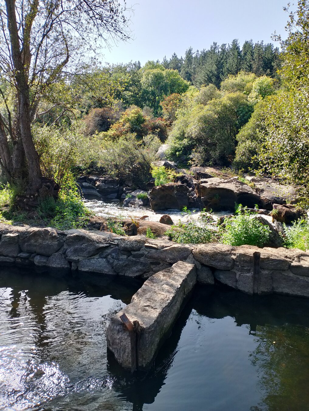 Zona fluvial de Lugo. Variedad de árboles y rio.
