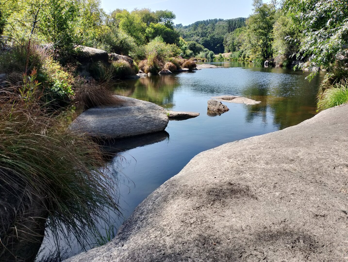 Zona fluvial de Lugo. Variedad de árboles y rio.
