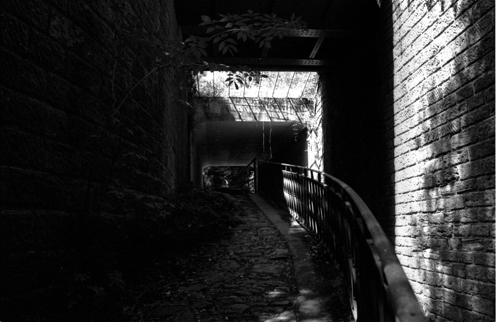 A lost path.