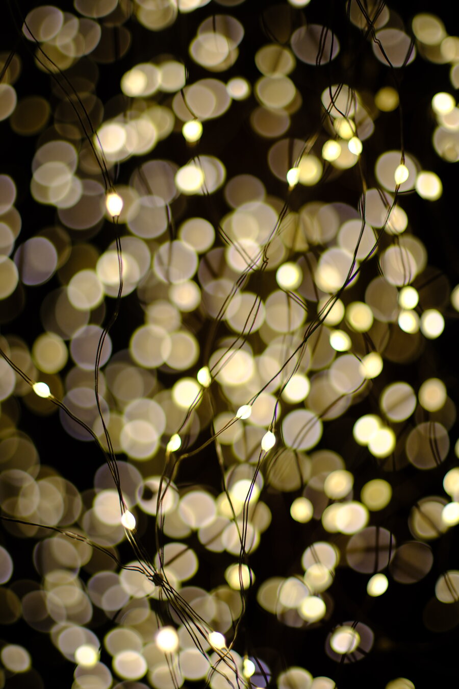 On the foreground are a few small LED fairy lights in focus. Two metal wires connect the lights together. The entire background is a ton of more fairy lights out of focus, making the entire background a giant bokeh mess!