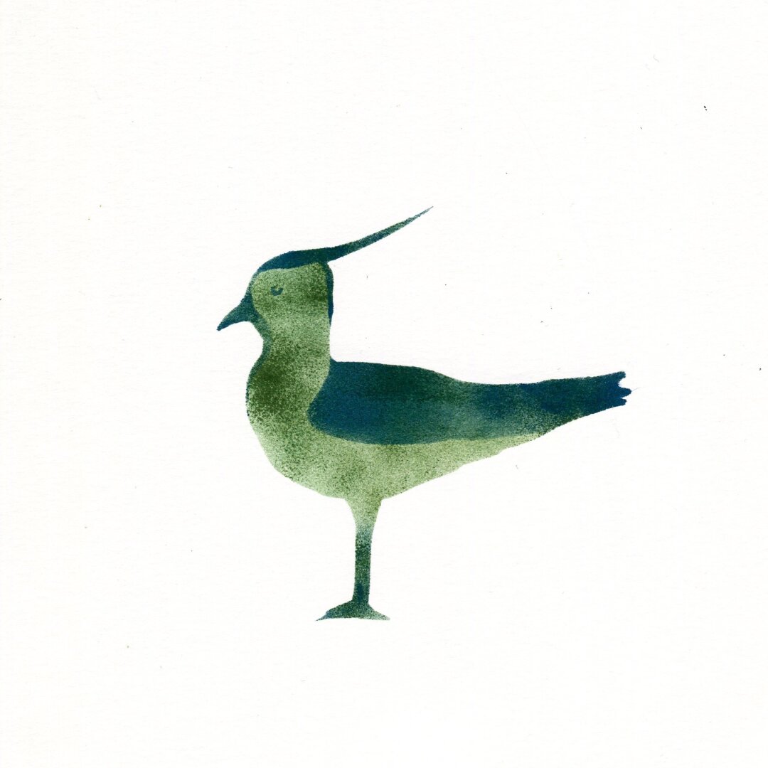 A lapwing in olive green and blue printed with ink and a sponge