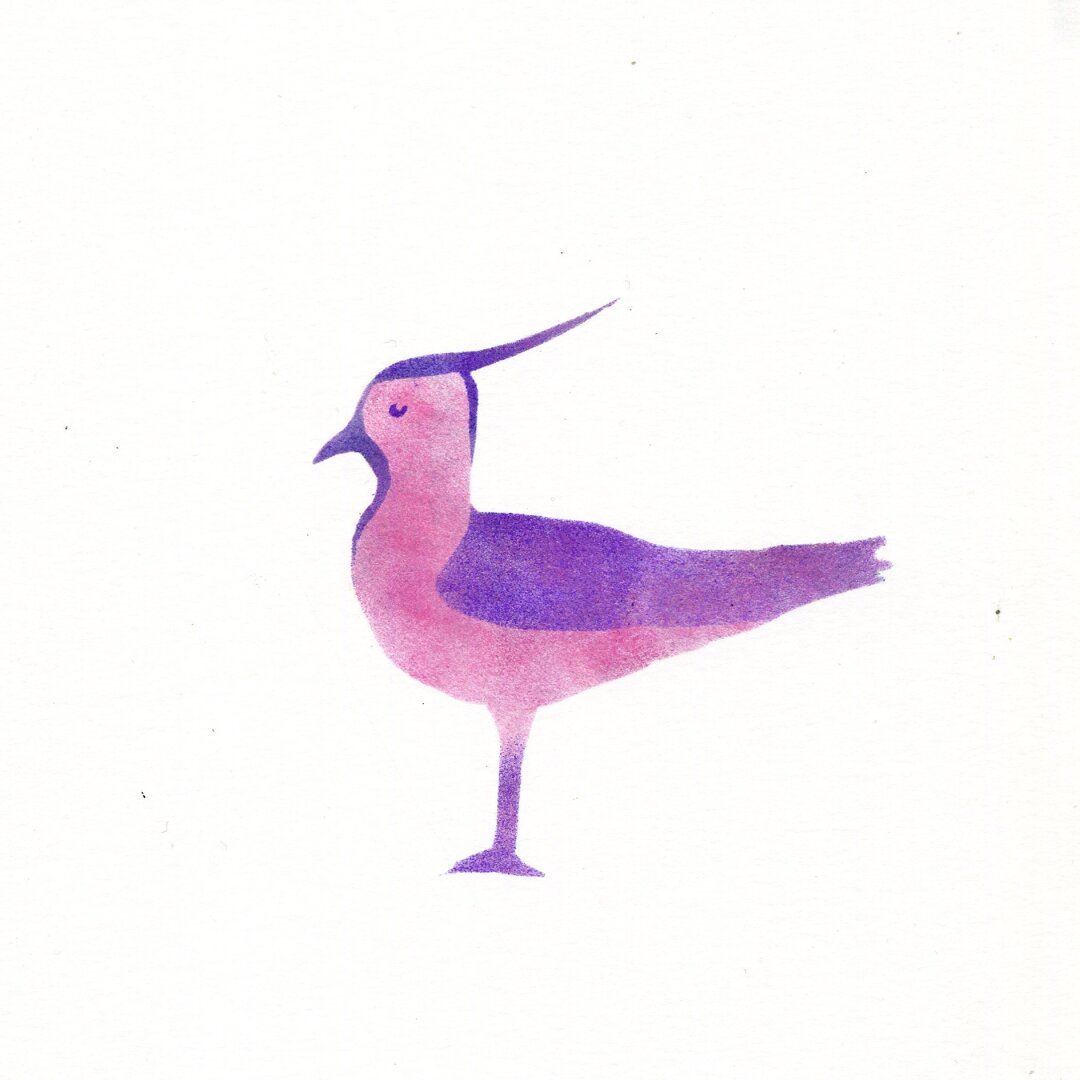 A lapwing in pink and violet printed with ink and a sponge