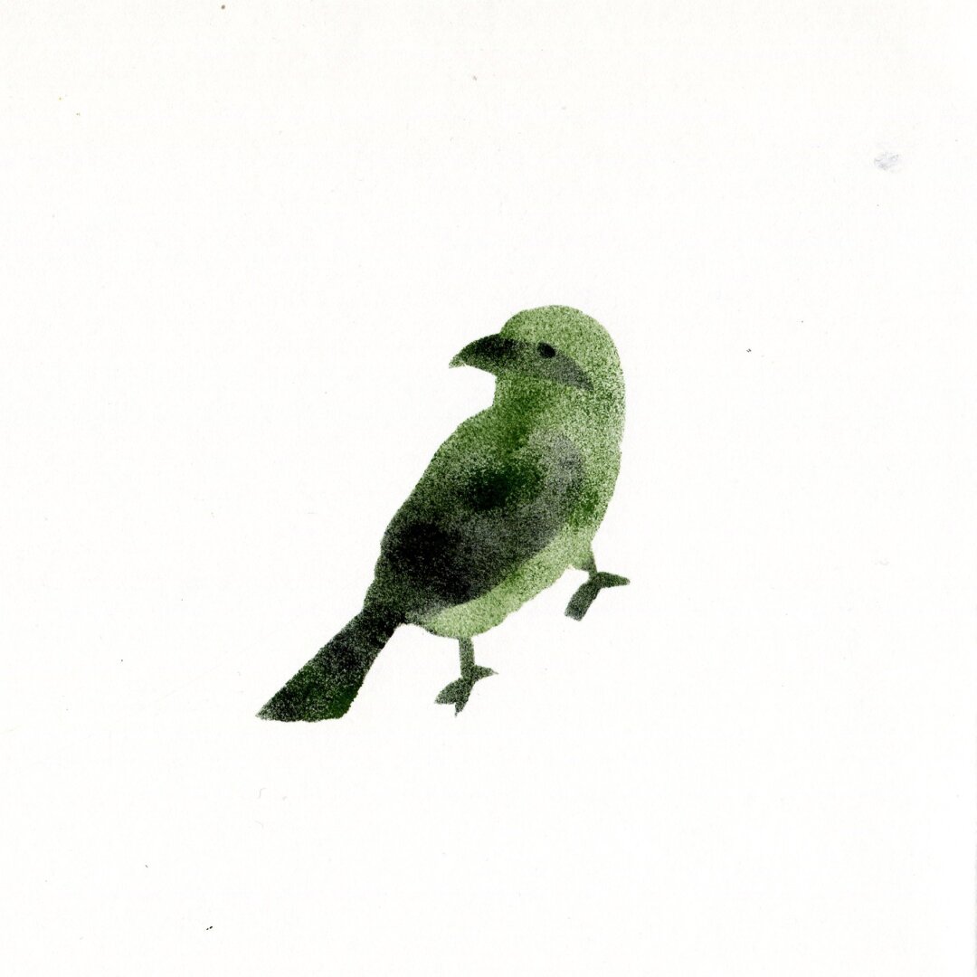 A red-backed shrike in olive green and black printed with ink and a sponge