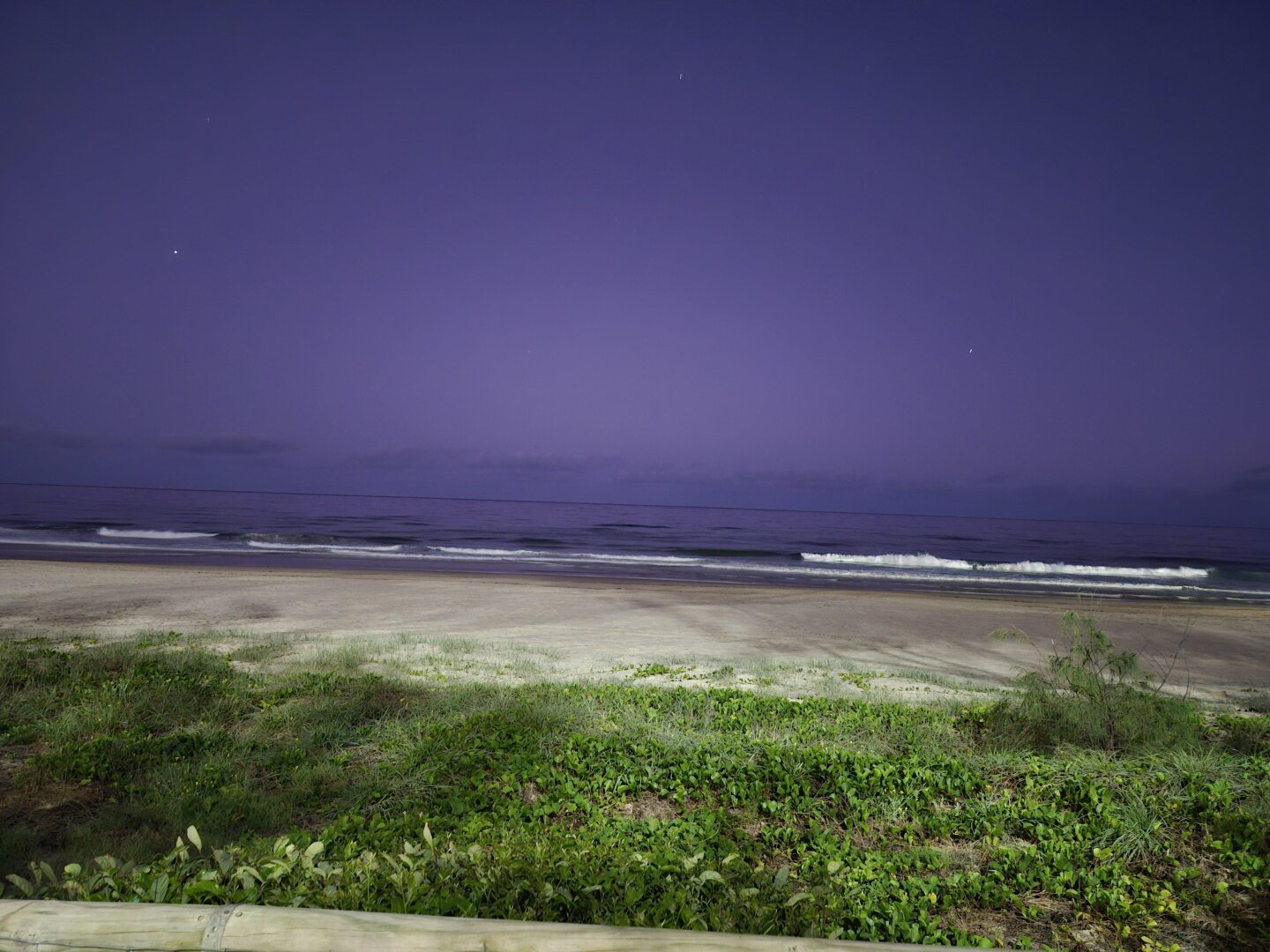An photo of the ocean taken at night from just behing the sand dunes. In the foreground is the dune vegetation. Just past the dune is several meters of flat sand. The water is relatively calm with small waves lapping the shoreline