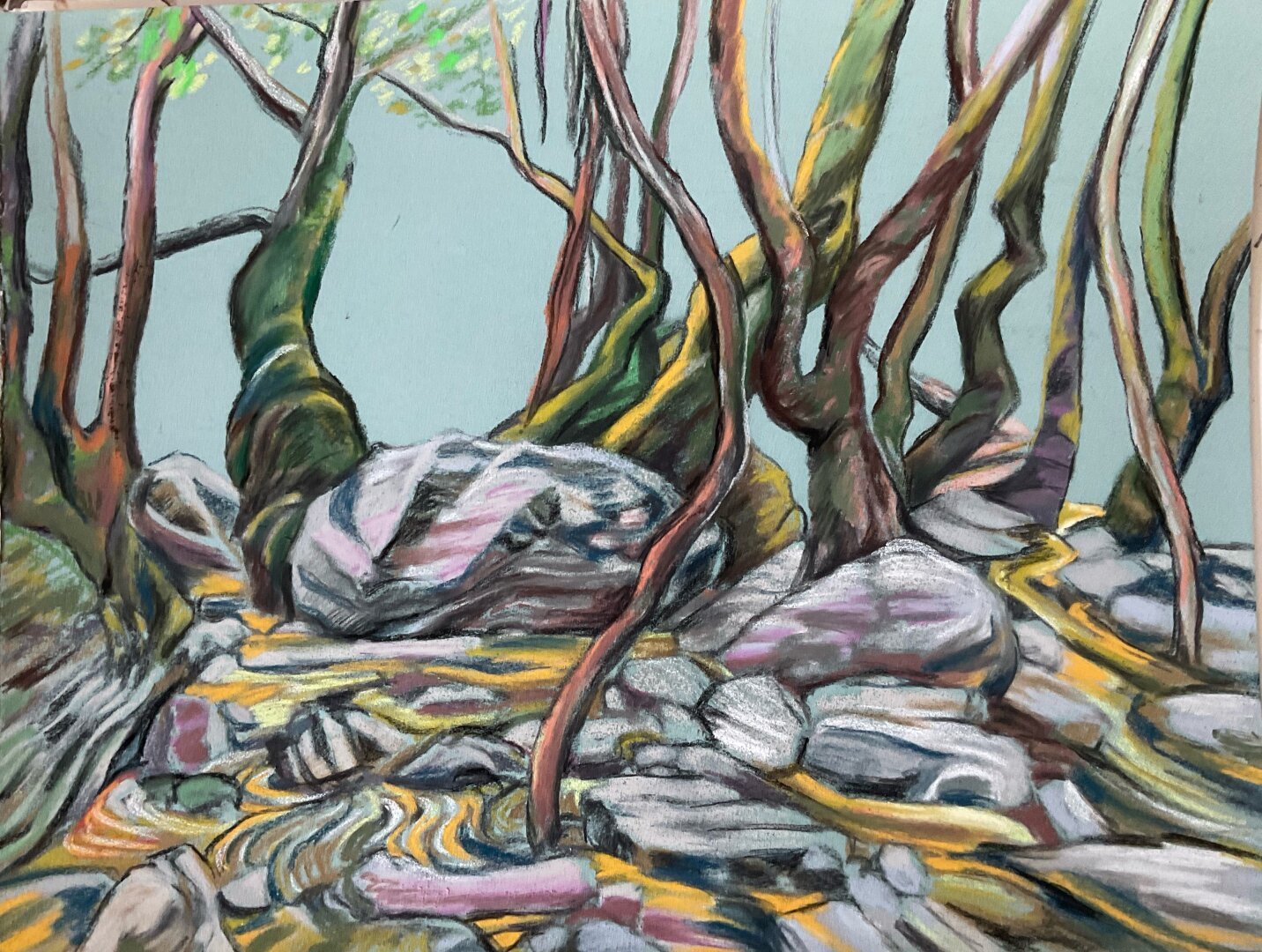 The drawing after adding stronger lines and contures and contrast colors