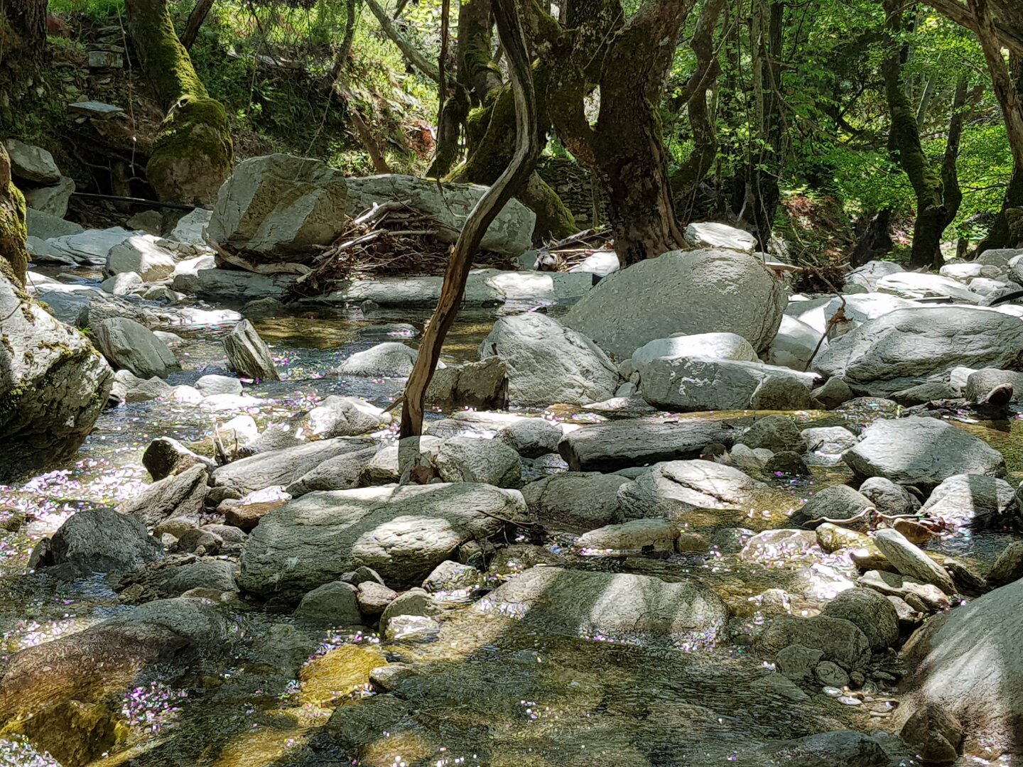 The view of rocks, threes and water