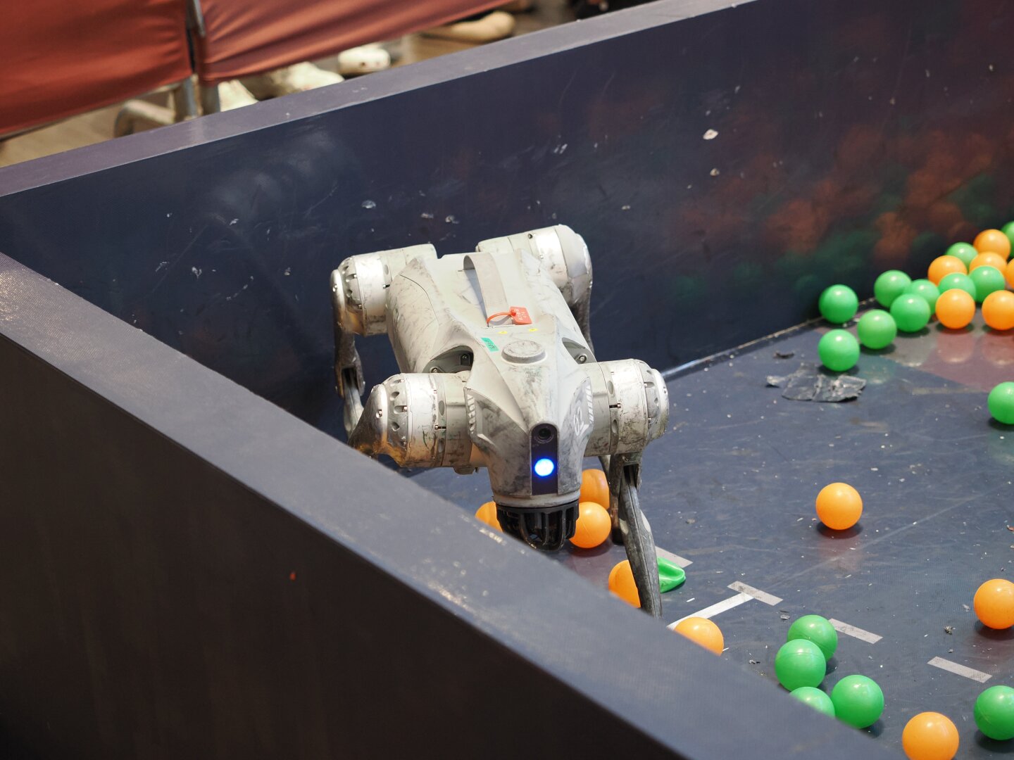 A scuffed up grey dog-style robot in a corner. On the floor around it are some ball pit style balls