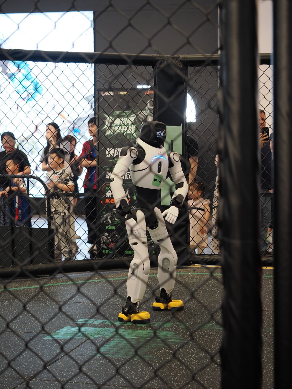 A light grey and black robot with yellow feet stands in the center of an MMA style cage. People behind the cage mull around looking at it or other robots that are off camera