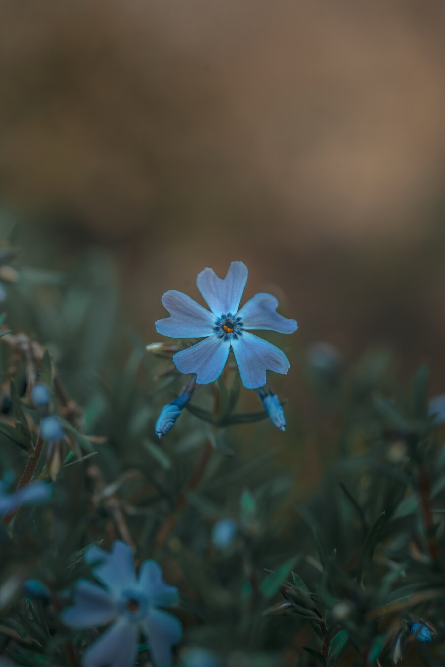Photo was not tagged with any alt text.