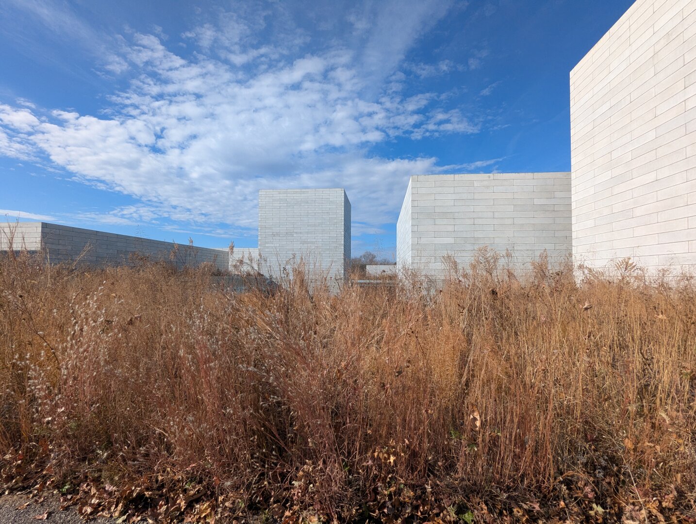 Tall beige grass and blue sky. Big white architectural cubes scattered throughout.