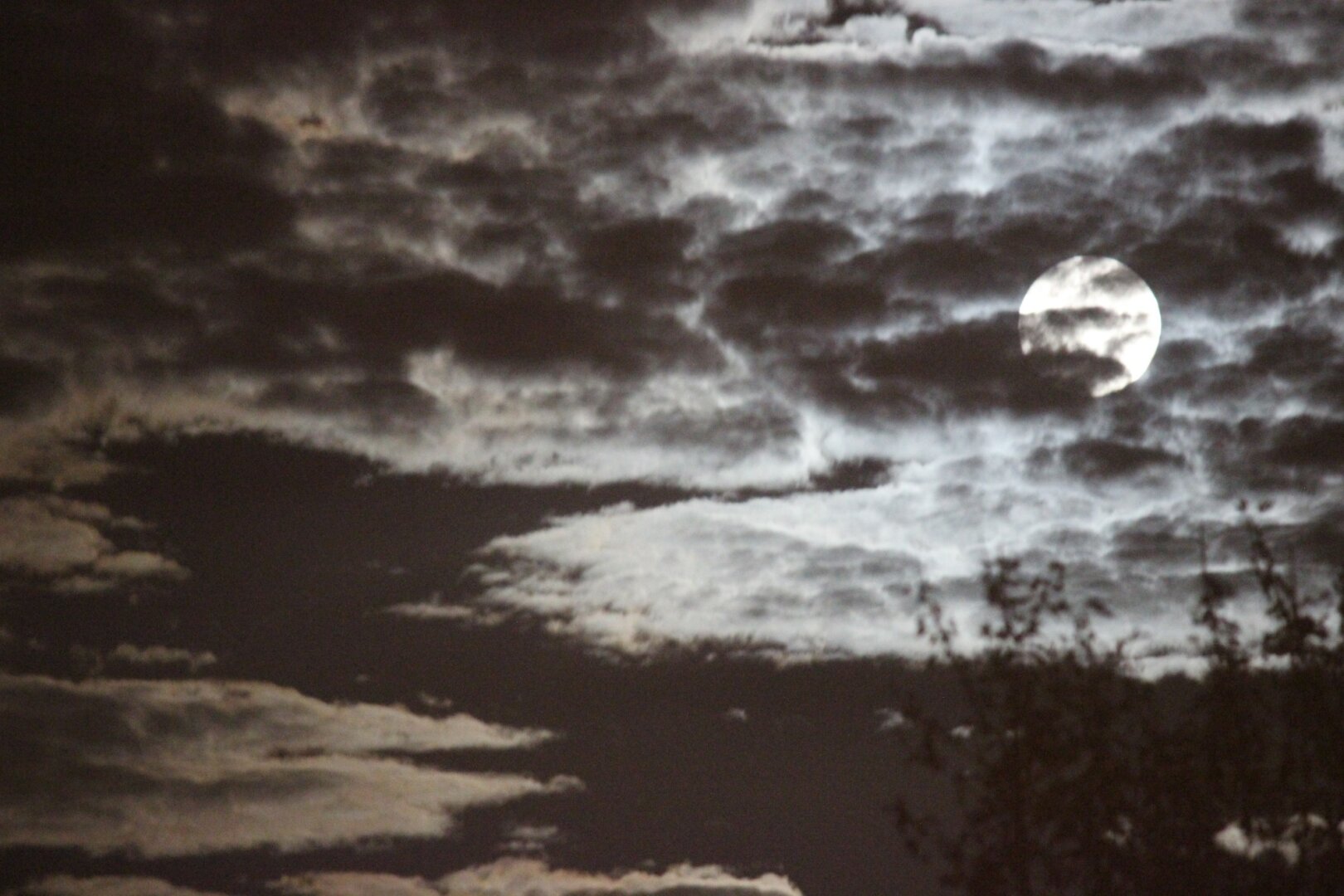 High contrast bright white clouds against dark sky with giant moon, zoomed in. Outlines of leaves toward the bottom.