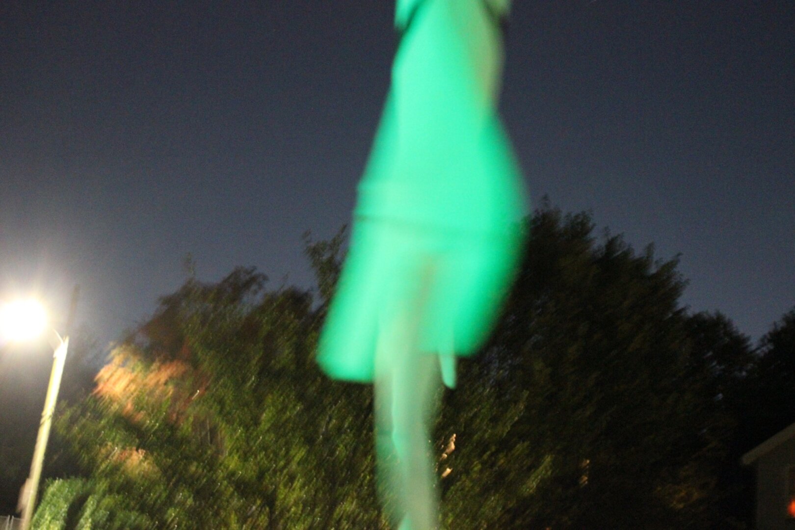 A blurry image of tree and sky. In the foreground there is a moving, tall shape, tinted green.