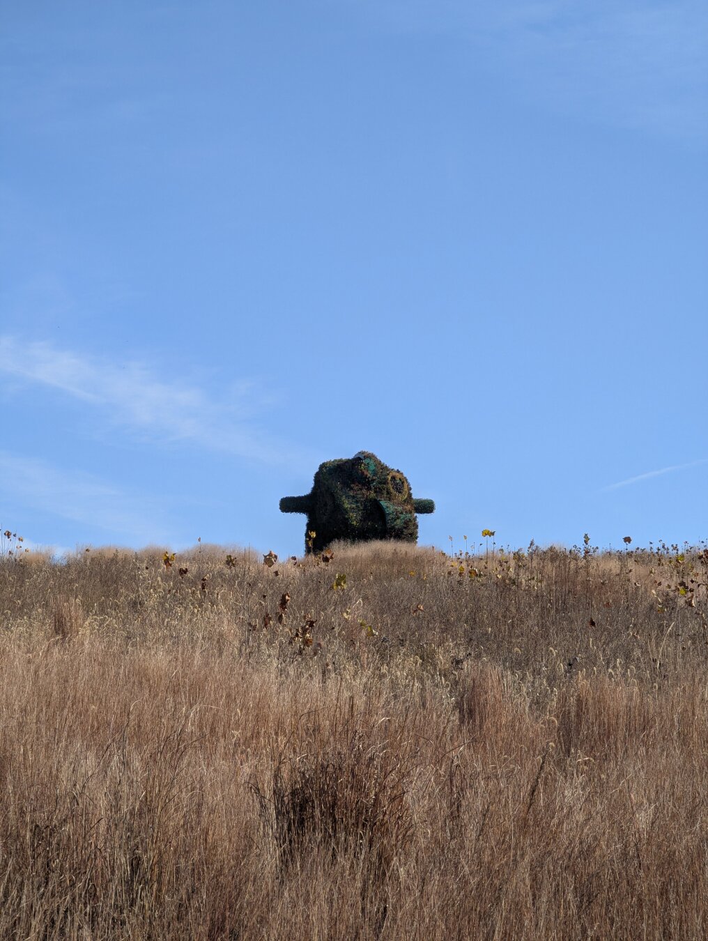 Tall beige grass and a clear blue sky. In the distance a giant sculpture of what looks like an abstracted head covered in flowers and other vegetation.