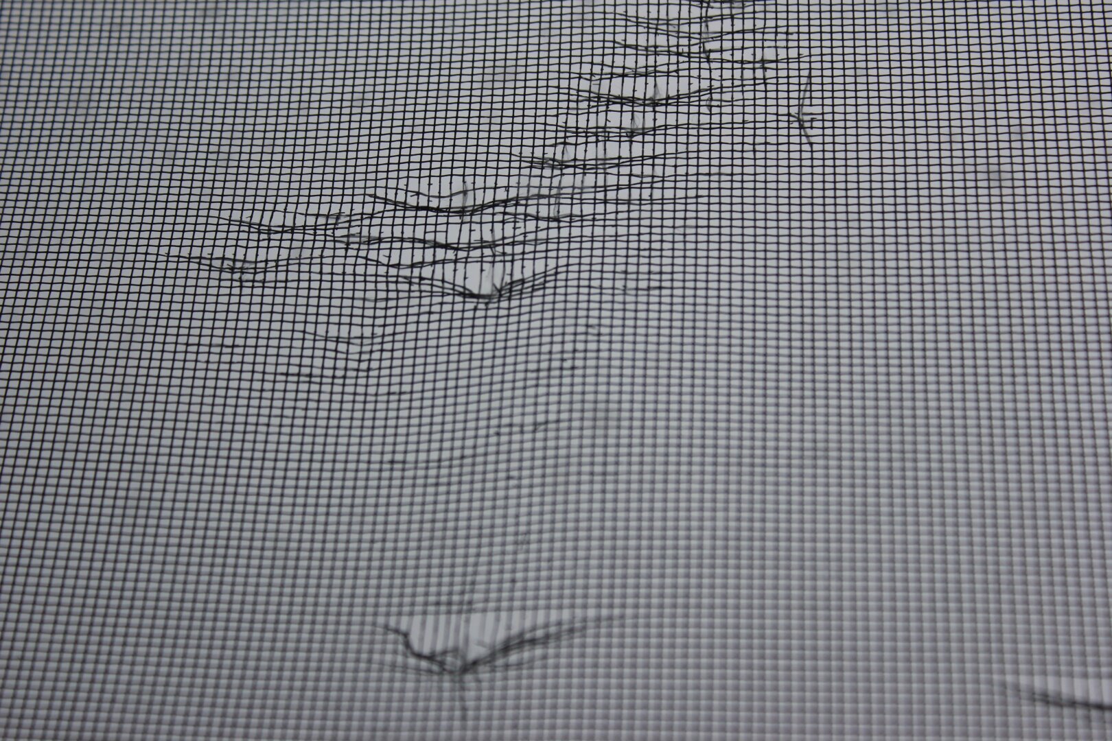 A screen window with a series of holes