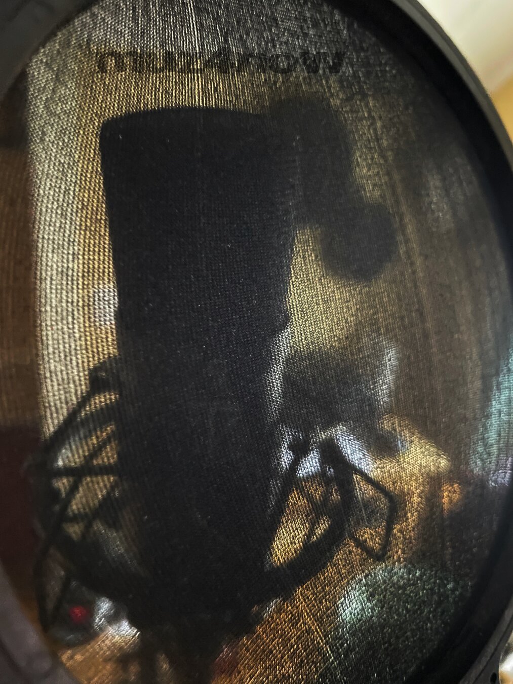 A recording studio microphone is masked by a pop filter.
