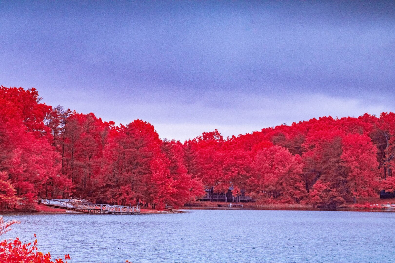 A small lake on a slightly overcast day surround by aerochromed red trees. A aluminum dock runs out into the lake from one of the shore points.