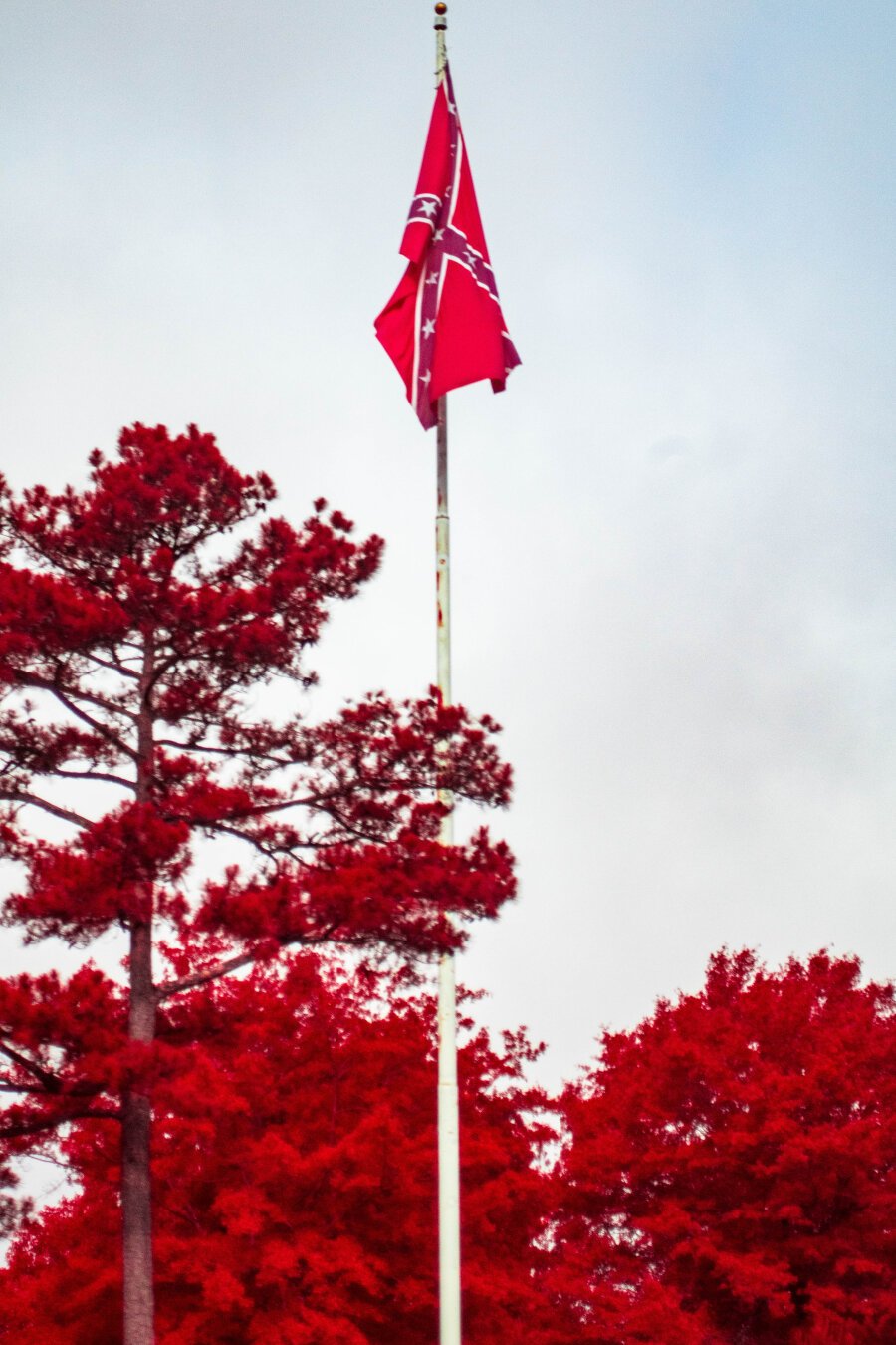 A confederate flags slumps on its rusty pole surrounded by red trees and a hazy sky.