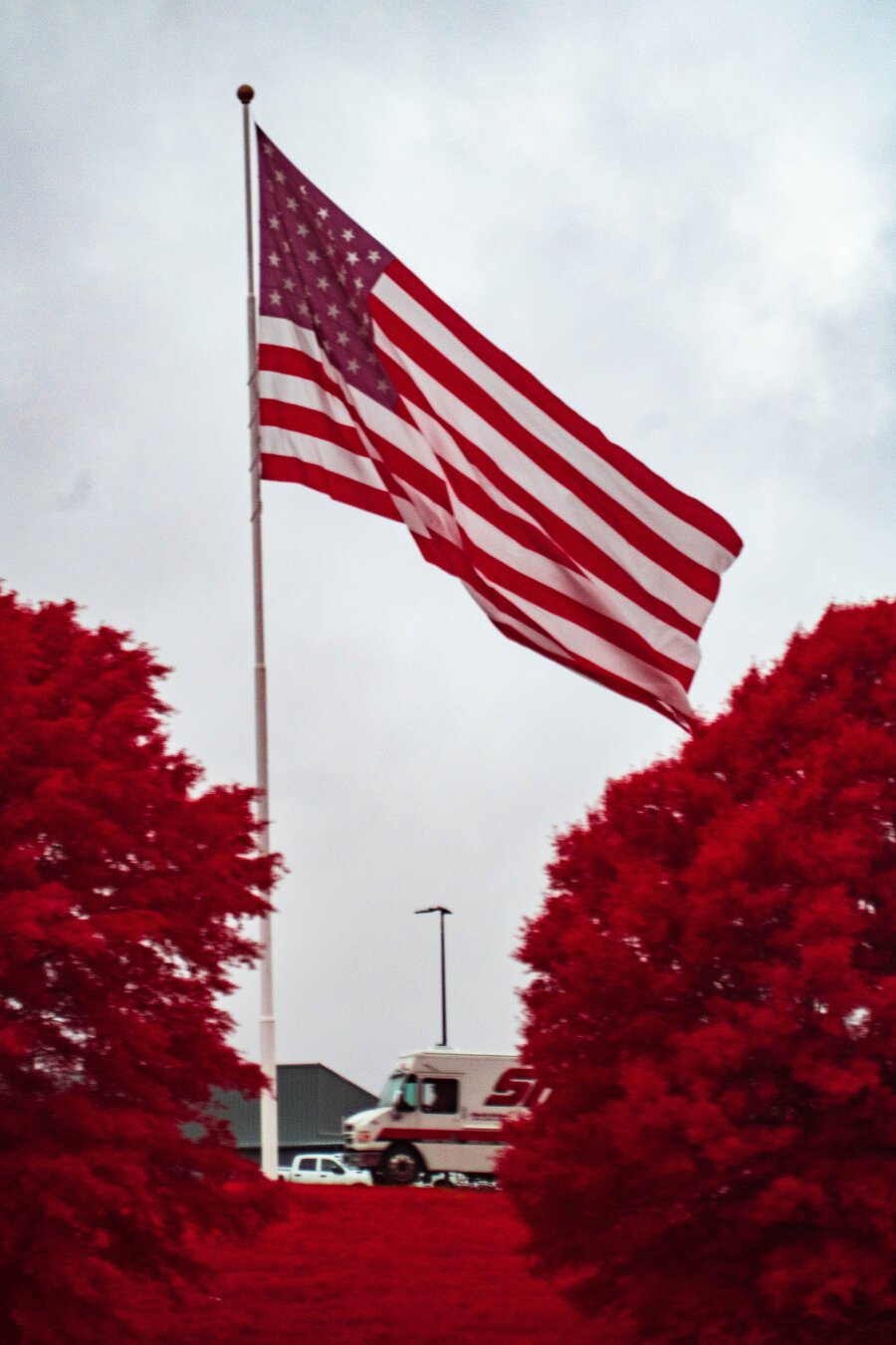 An American flag flys loud and proud in the breeze of an overcast day between to large bushy trees died a dark red from infrared light. A white van with a red stripe is parked below it and is mostly blocked by the tree.