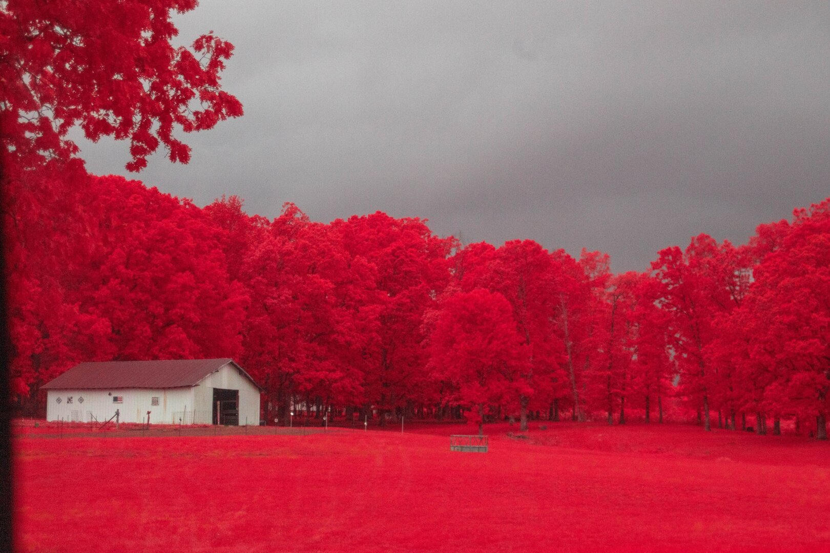 An open barn lead out into a fenced and empty glade between the trees. The leaves and grass are almost pink with infrared light, but the sky is dark with storms.