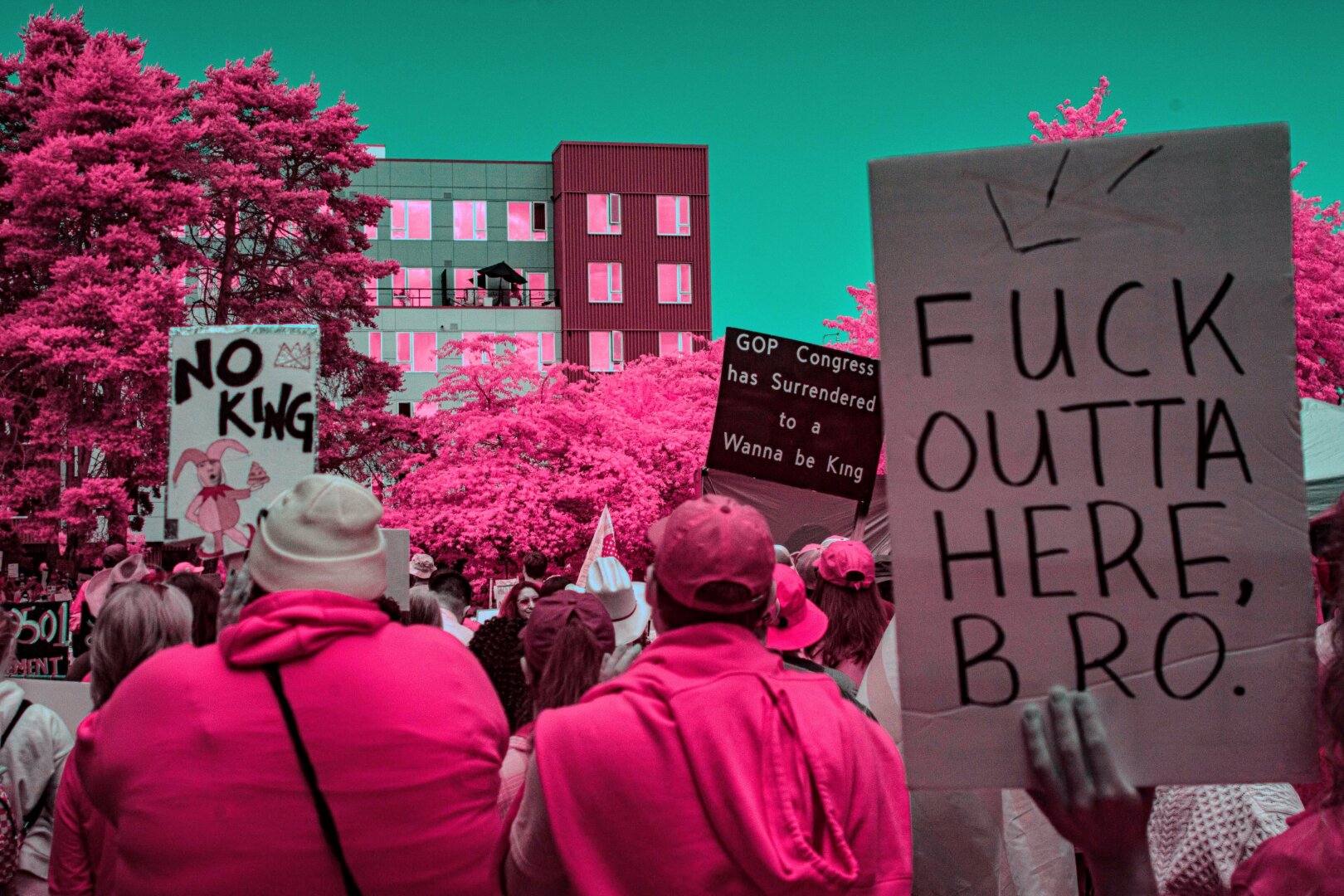 Fuck outta here, bro. And no king are two signs being held up by protestors in a crowd. Everything is dyed pink in infrared light, esp the leaves of trees and clothing as light reflects off. A turquoise sky and bright pink reflections give the photo a surreal feel.