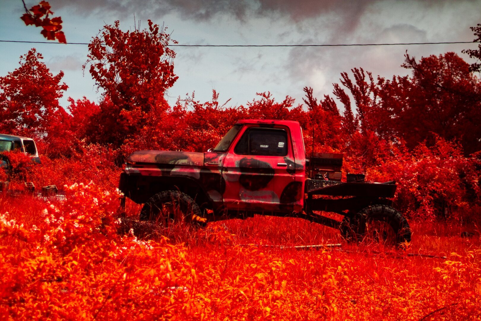 Someone's oranged-tinged truck, stands besides a clump of wildflowers, spray painted with old splotches of black. It lackes it's wheel fender, bumber, and most of the bed except for a small platform that holds a generator. Behind it the forest is a slight more burned shaded of orange. On the far left another cab rusts, and above a wire drops across the frame where desaturated clouds bloom and block the sky.