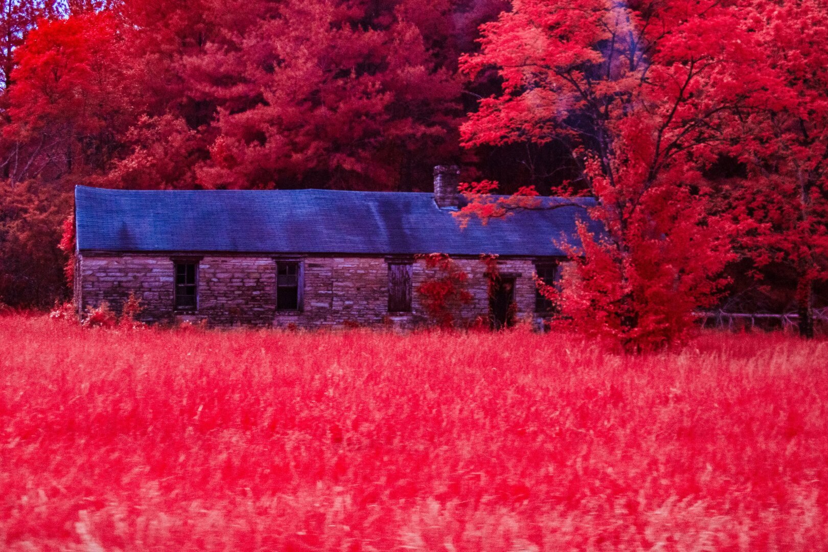 A stone house sits abandoned near a fence and a tall treeline. The entire imagine is toned red with infrared light and grass is blurred as if I'm motion. Vines crawl of sections of brick. And large evenly spaced windows dive into deep shadow.