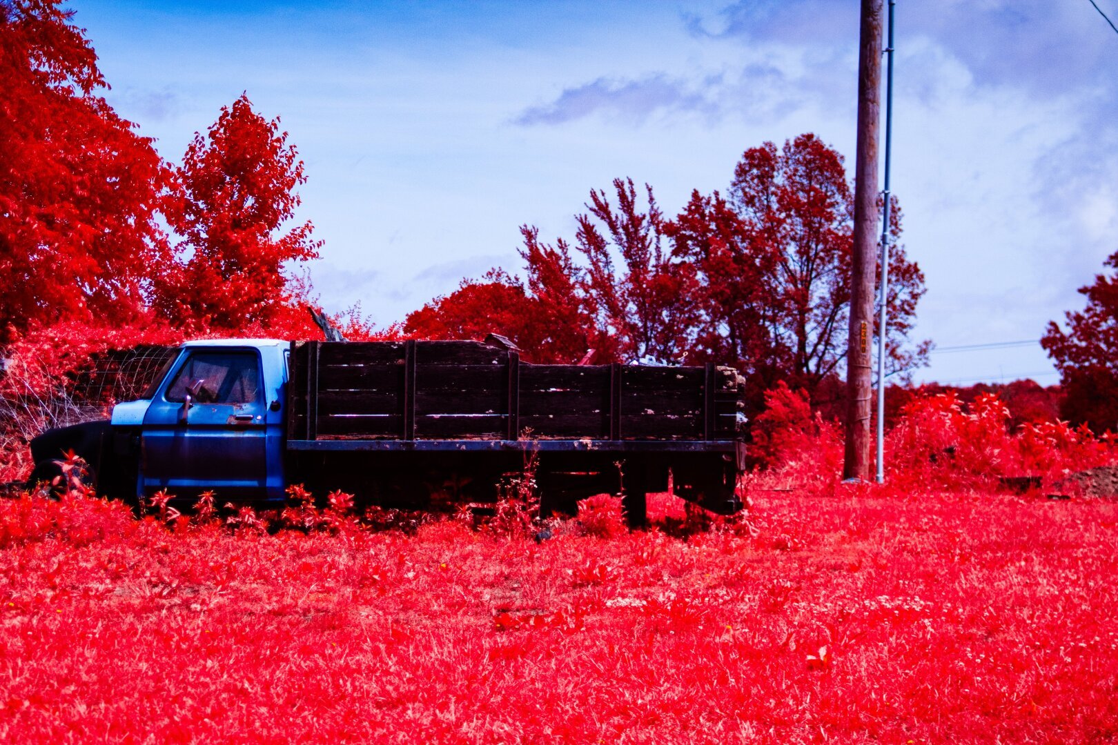 A blue truck decays in a field next to a telephone pole. The grass and trees are red and pink like the infrared film aerochrome. The sky is a deep blue peaking behind a have of distant clouds