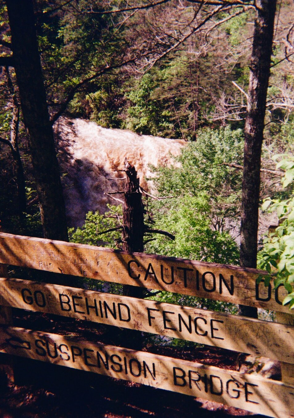 A fence made of three boards run across the bottom of the picture with the words caution do go behind fence suspension bridge with an arrow pointing left. A broken tree just out above them like on of those bottles people chop with crappy samurai swords they bought from Amazon. Behind it a flooded waterfall rages brown and white. They whole picture is casted in golden shadow and is only green and grey brown of bare forest and evergreen trees.