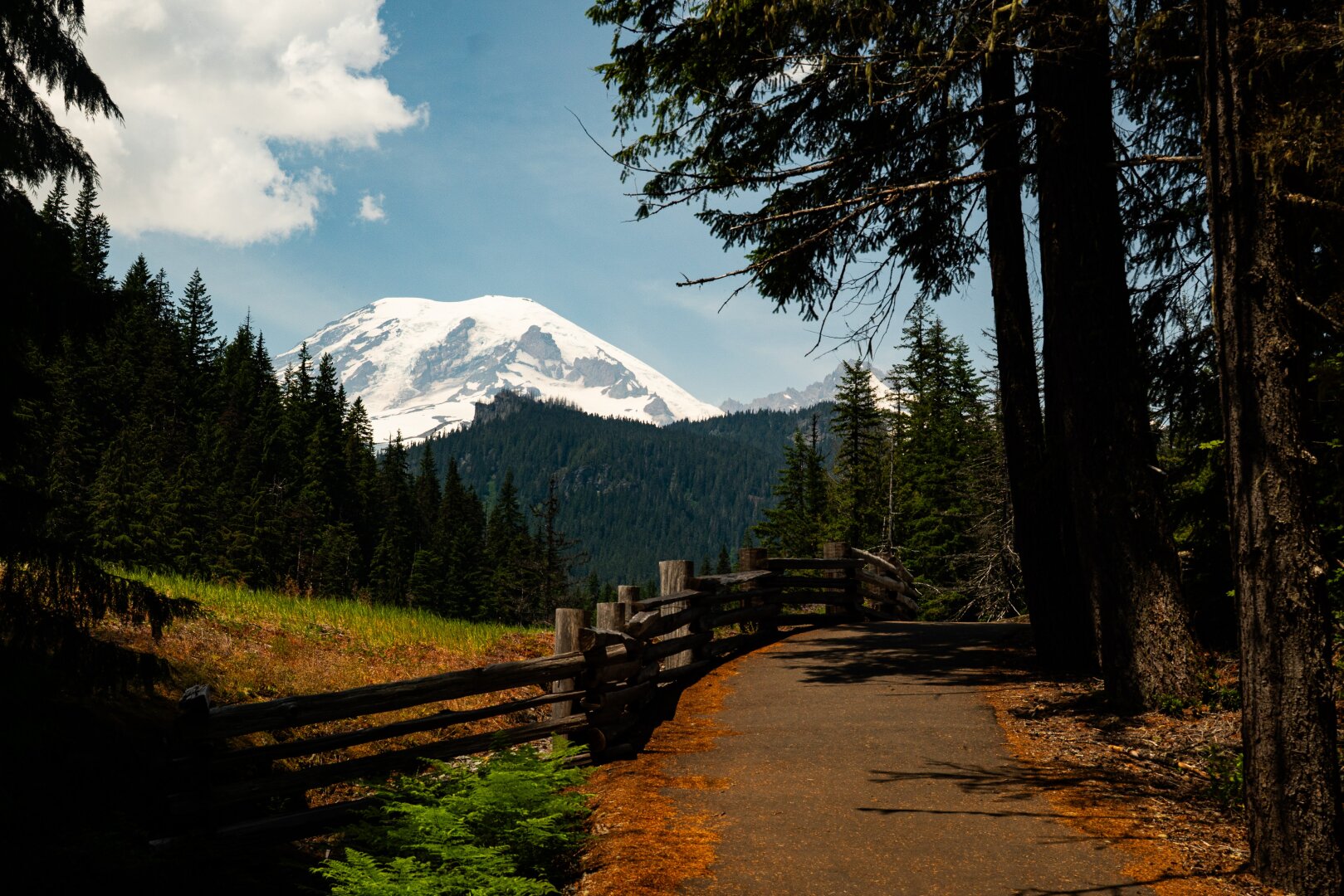 A concrete path lightly covered on both ends by red-brown fallen moss and fir leaves rises and curves over a bend, guided by a rough, thick, grey wooden fence that seperates it from a small clearing of grass. The path runs under the shadow of several firs that tower above on the right and the forest runs from the middle of the left side of the frame in the distance, leading down into an unseen valley before rising again to the foot of a tiny rocky outcrop before a gain snow capped rounded  mountain. The divit of Mt Rainers ancient caldera is visible in the light hazy of the blue sky of a golden afternoon. A large cloud floats off to the left, light and dreamy.