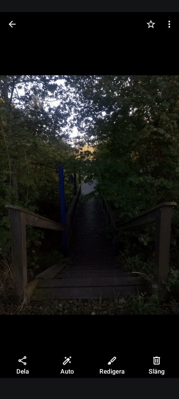 A wooden staircase photographed from the top of it. On both sides there is trees. Ablue pole on the left and at the bottom of the stairs.