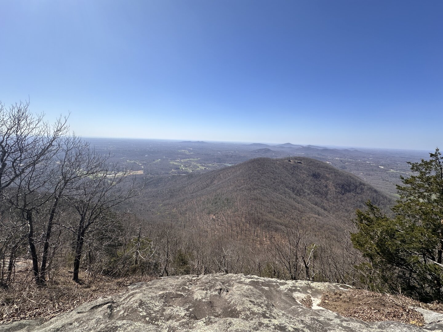 A view from mountaintop overlooking forestry