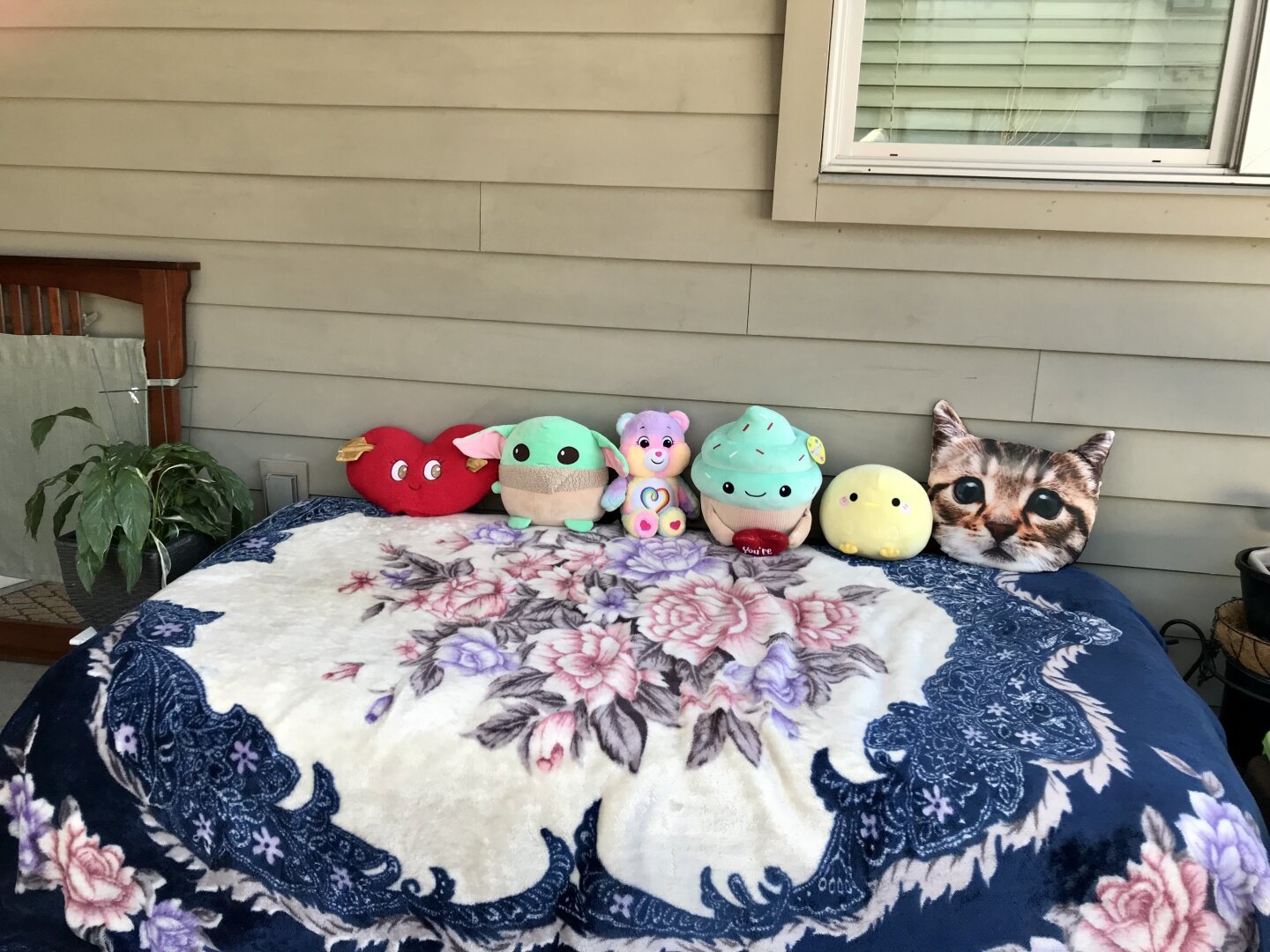 Converted box and mattress into a couch for patio: Crissy’s plushies