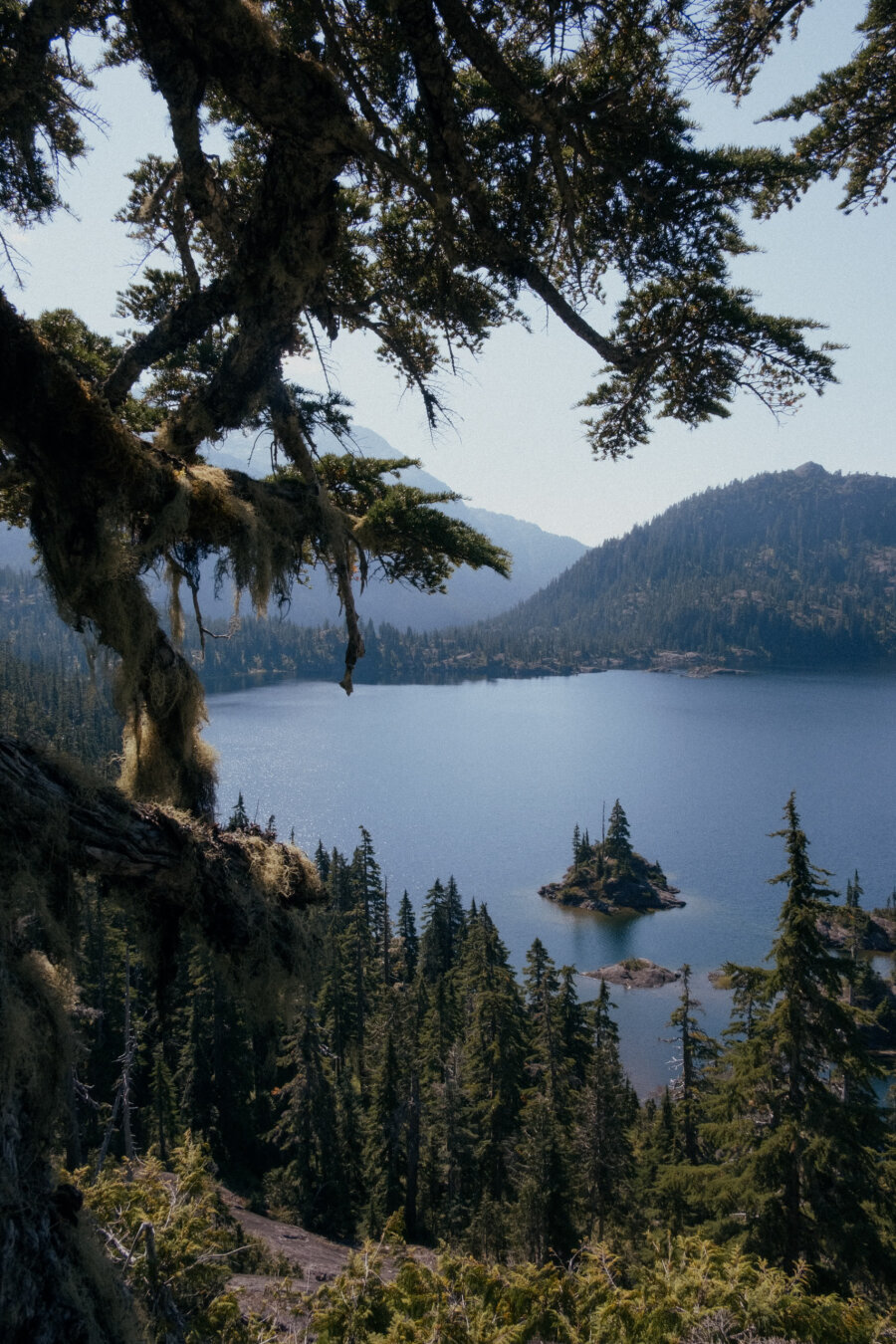 A scenic mountain lake surrounded by dense evergreen forests, viewed through the branches of a moss-covered tree in the foreground. In the middle of the calm blue water, a small rocky island with a few tall trees stands out against the backdrop of misty, forested hills under a clear sky.