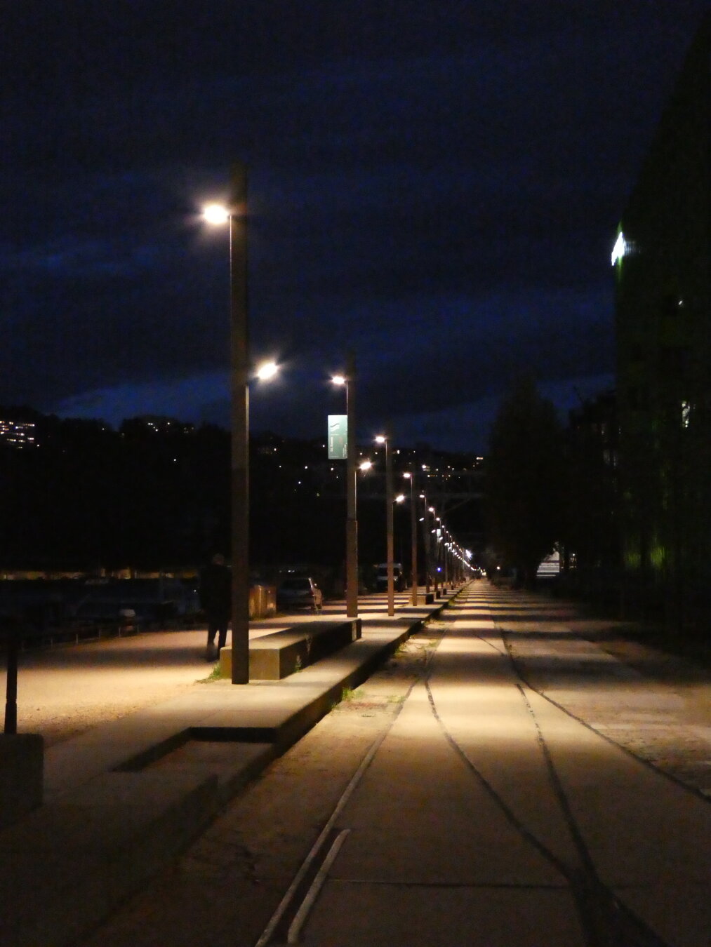 Picture of a pathway, illuminated by streetlights placed on its left. Both the pathway and the lights seem to continue beyond horizon.