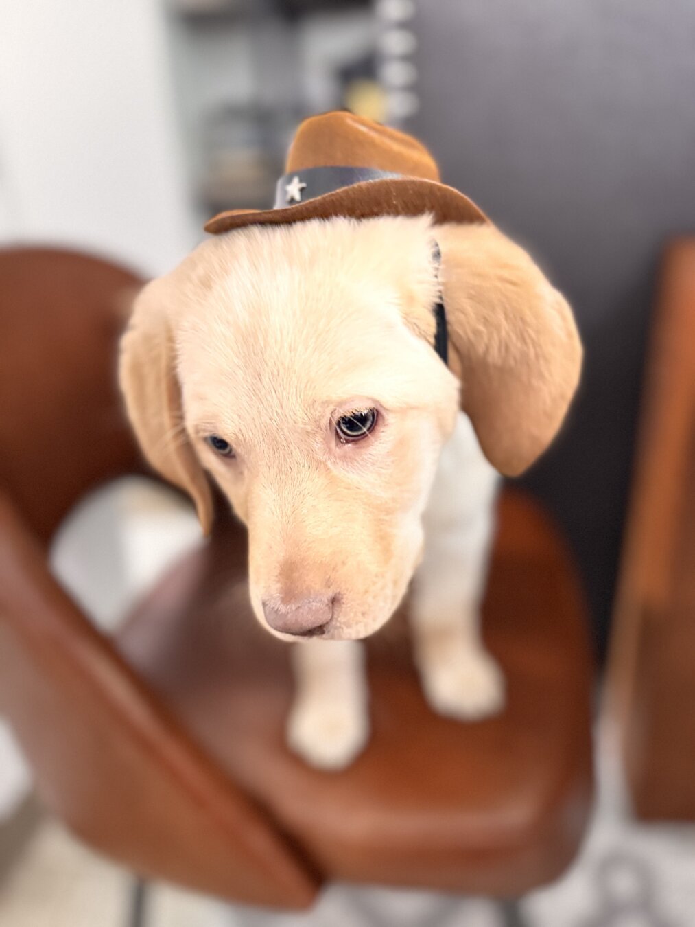 jake wearing a cowboy hat
