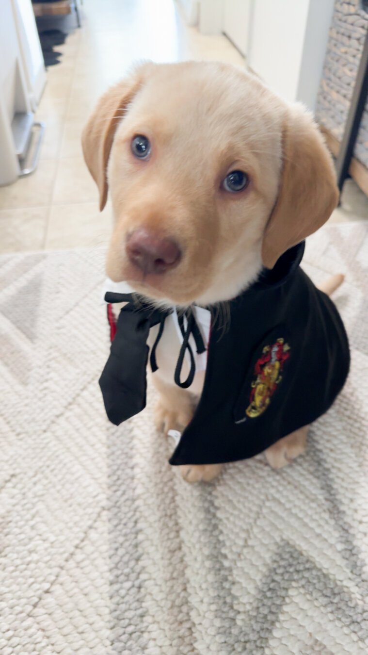 Jake in his school uniform