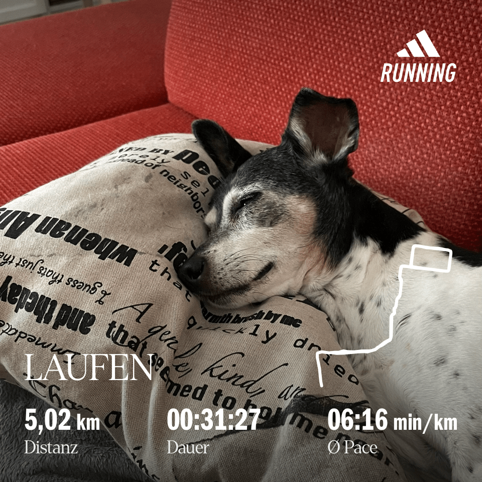 Hund liegt auf Kissen, schläft.