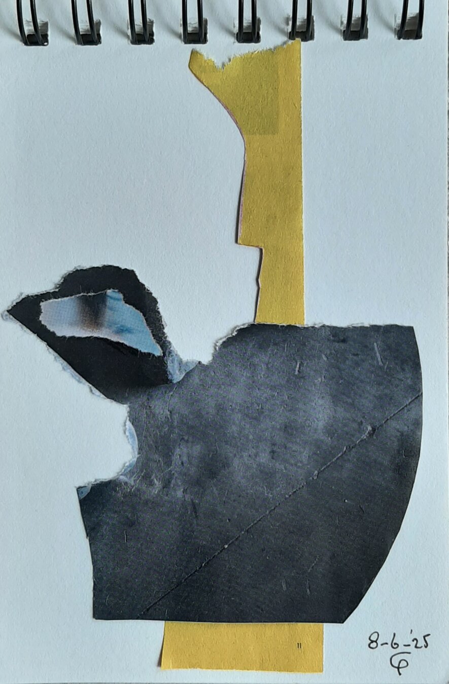 Meerkoet voor rietkraag. Collage. Coot in front of reed collar