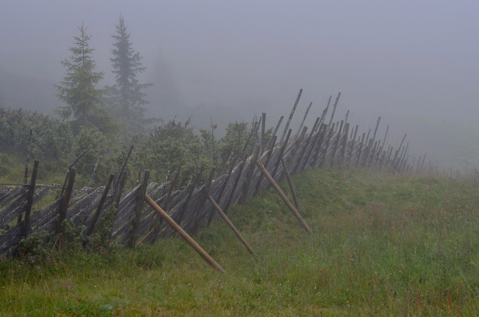 En gammel skigard i et tåkete landskap.