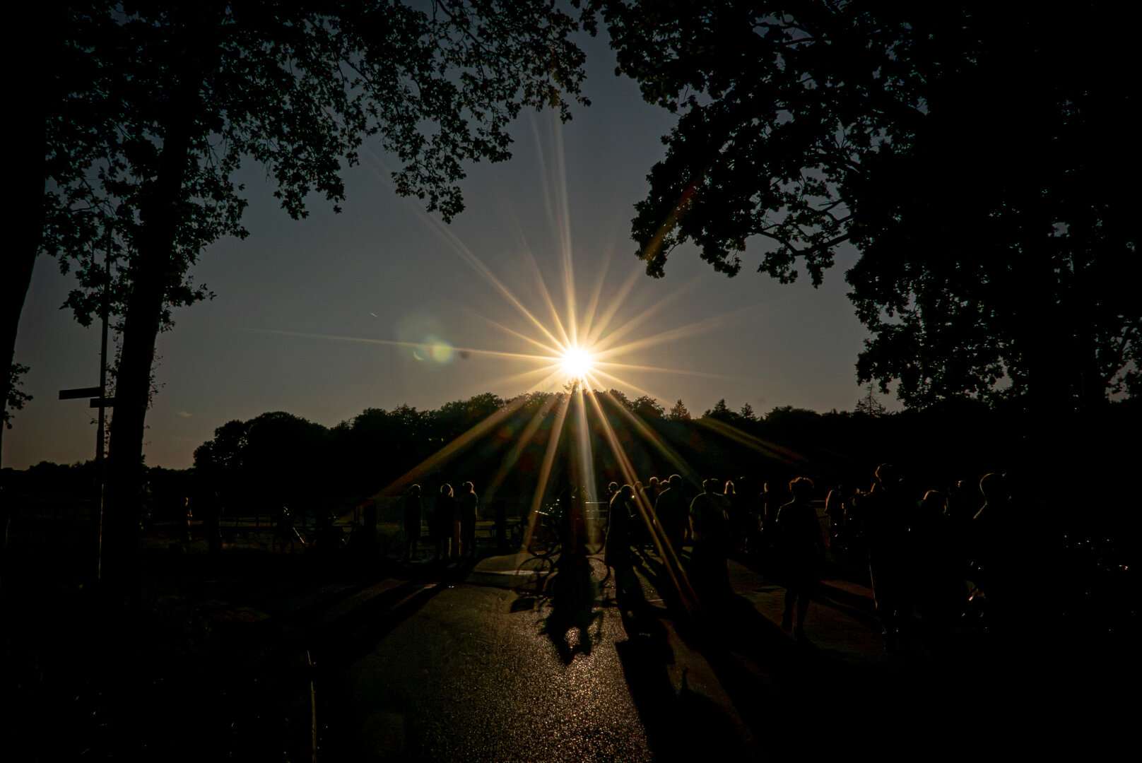 Mensen op de rug gezien, in voornamelijk contouren. Ze kijken naar de zonsverduistering. De zon op de foto is door het gesloten diafragma goed te zien, maar veranderd in een soort ster met allemaal lange stralen die rondom de felle overbelichte bol naar buiten stralen.. Er omheen een kader van volkomen donkere bomen en bladeren. De lucht is door de instellingen ook donker alsof het nacht is.