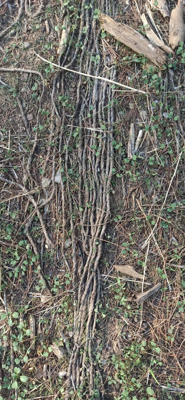 It's a photograph of a soil that has some sysyrings lying from the top side of the panel to the bottom symmetrically.