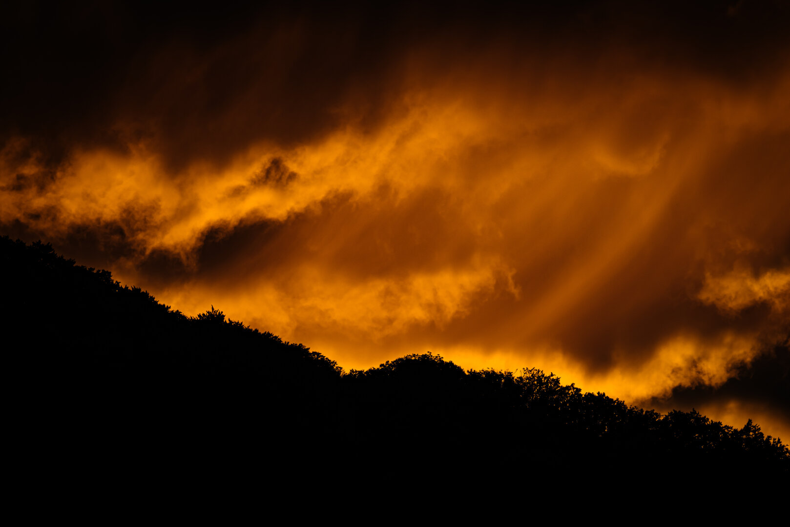 Das Foto fängt einen beeindruckenden Sonnenuntergang nach einem Herbststurm ein. Die Wolken sind in intensiven Orange- und Rottönen gefärbt, was auf eine besondere Lichtbrechung in der Atmosphäre hindeutet. Die Bäume im Vordergrund sind als dunkle Silhouette dargestellt, was den Kontrast zum leuchtenden Himmel verstärkt. Die Aufnahme vermittelt ein Gefühl von Ruhe und gleichzeitig von dramatischer Kraft der Natur.
