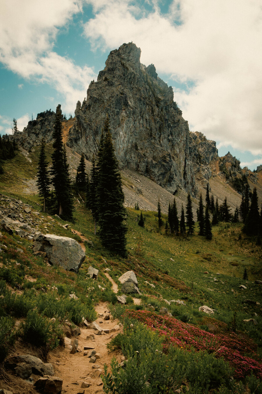 A vertical photo of a trail heading towards a jagged peak with pink flowers and dark evergreen trees lining the path. A partly cloudy sky above.